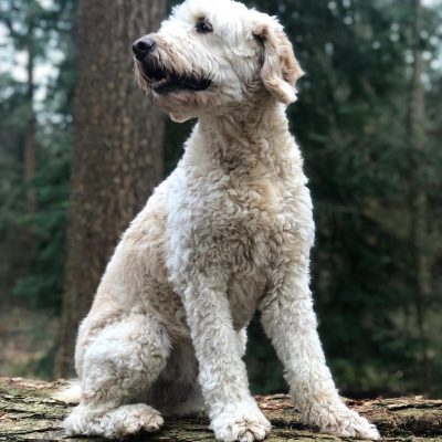 986b59eb-e672-4fd6-aec1-bb351adf4826